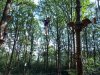 IMG_20210611_101728