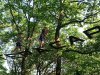 IMG_20210611_103342