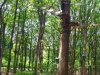 IMG_20210611_134032