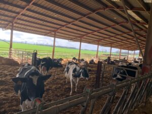 Visite à la ferme de Mormaison