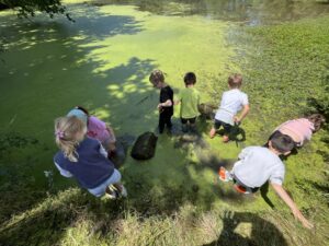 Sortie à la mare avec Vendée Eau